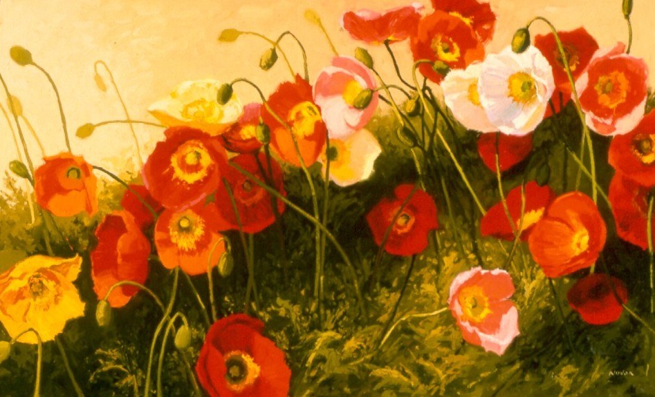 Shirley Novak Poppies In Celebration